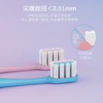 成人牙刷 B806