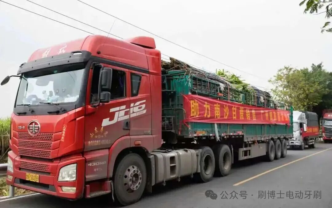 图片尺寸:1080 x 678 图片