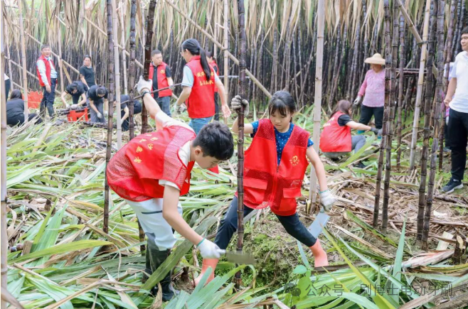 图片尺寸:658 x 435 图片