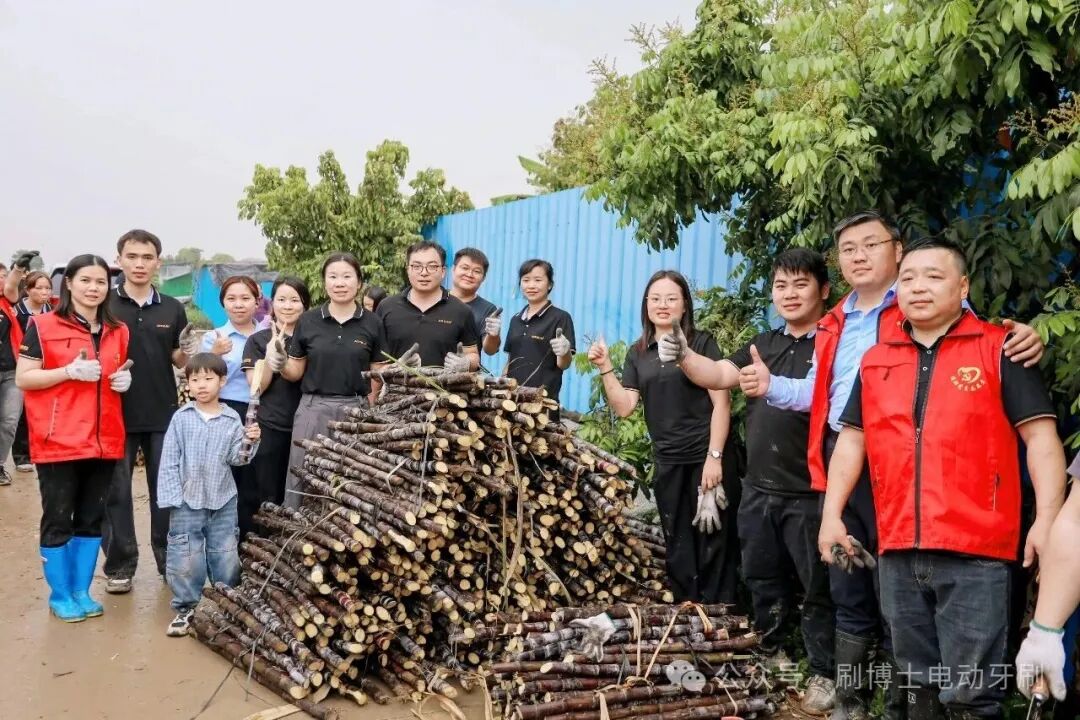 图片尺寸:1080 x 720 图片